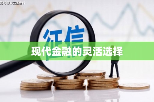 浮梁现代金融的灵活选择