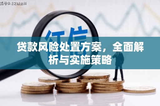 浮梁贷款风险处置方案，全面解析与实施策略