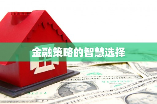 浮梁金融策略的智慧选择