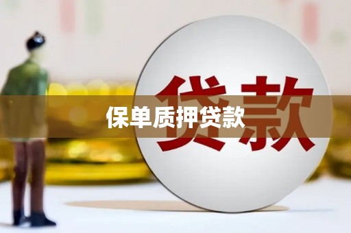 浮梁保单质押贷款
