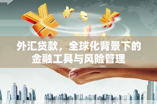 浮梁外汇贷款，全球化背景下的金融工具与风险管理